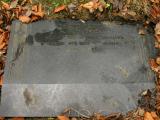 image of grave number 56064